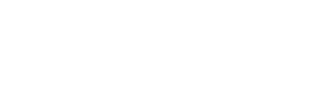 asset 11 1 1024x314 white.png